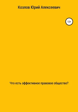 Юрий Козлов Что есть эффективное правовое общество? обложка книги