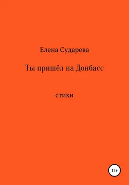 Елена Сударева Ты пришёл на Донбасс обложка книги