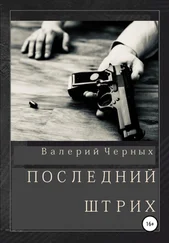 Валерий Черных - Последний штрих