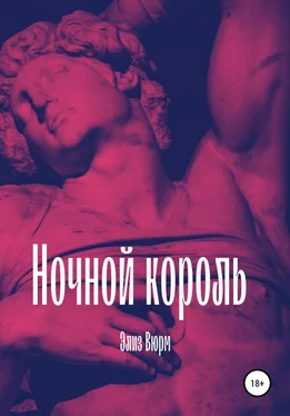 Элиз Вюрм Ночной король. Книга 1 обложка книги