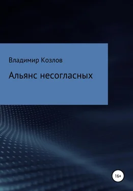 Владимир Козлов Альянс несогласных обложка книги