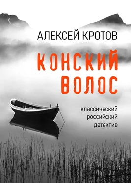 Алексей Кротов Конский волос обложка книги