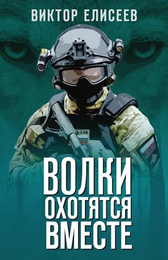 Виктор Елисеев Волки охотятся вместе обложка книги