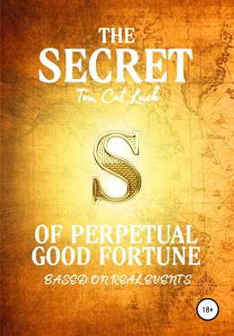 Tom Cat Luck The Secret of Perpetual Good Fortune обложка книги