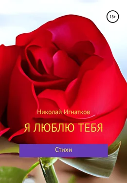 Николай Игнатков Я люблю тебя обложка книги