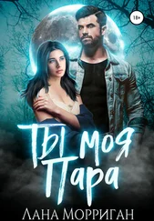 Лана Морриган - Ты моя пара!