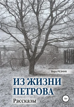 Вера Резник Из жизни Петрова. Рассказы обложка книги