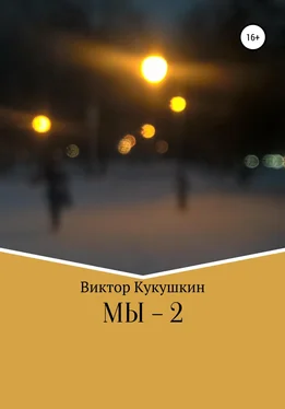 Виктор Кукушкин МЫ-2 обложка книги