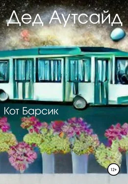 Кот Барсик Дед Аутсайд обложка книги