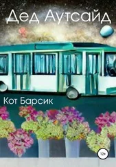 Кот Барсик - Дед Аутсайд