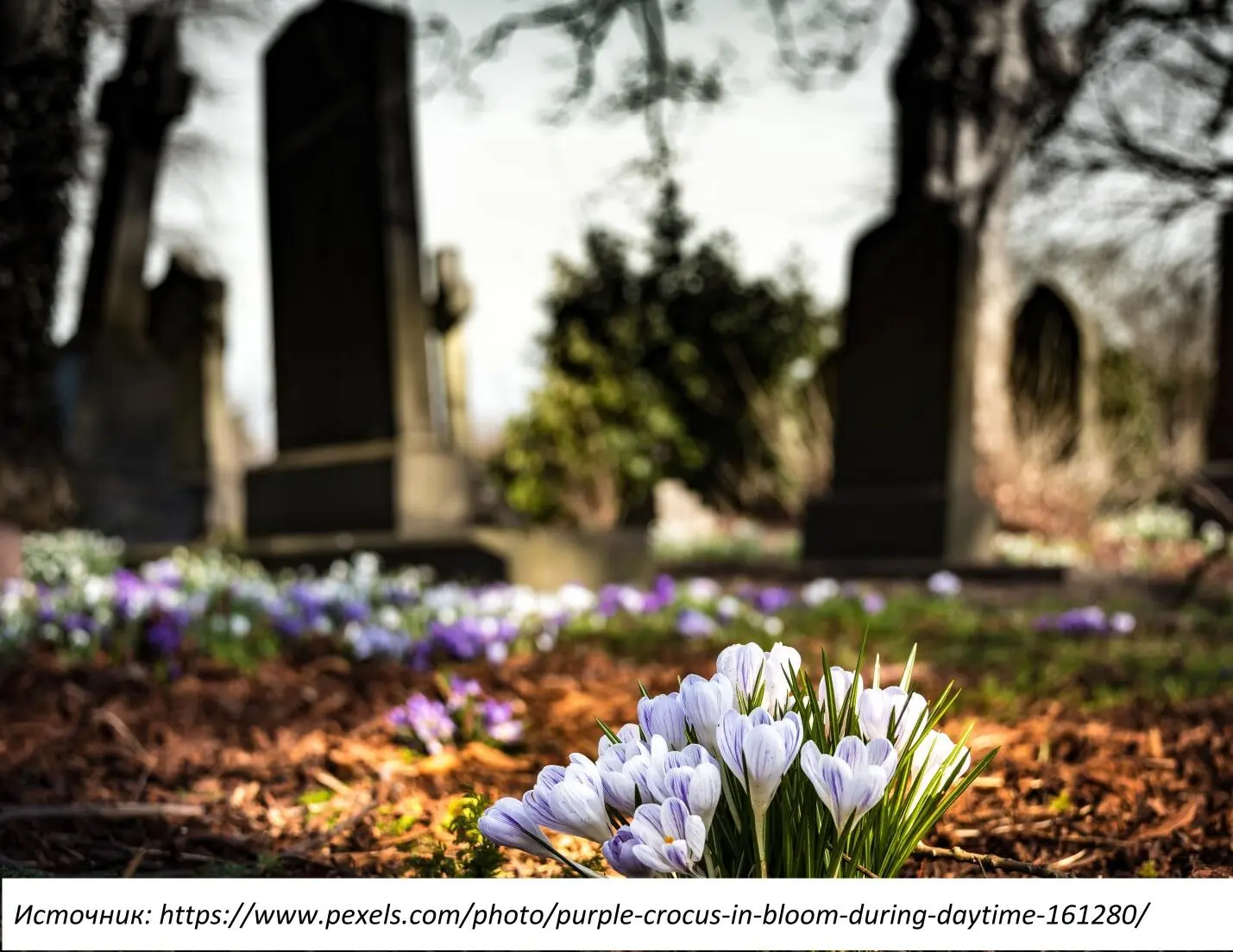 Глава II Grief is not a disorder a disease or sign of weakness It is an - фото 1