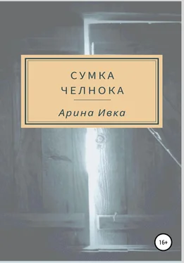 Арина Ивка Сумка челнока обложка книги