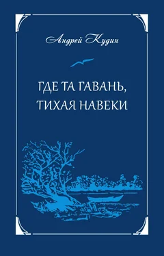 Андрей Кудин Где та гавань, тихая навеки обложка книги