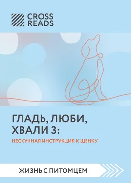 Анастасия Димитриева Саммари книги «Гладь, люби, хвали 3. Нескучная инструкция к щенку» обложка книги