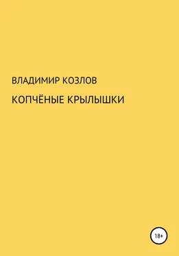 Владимир Козлов Копчёные крылышки обложка книги