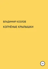Владимир Козлов - Копчёные крылышки