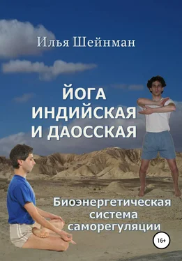 Илья Шейнман Йога индийская и даосская. Биоэнергетическая система саморегуляции обложка книги