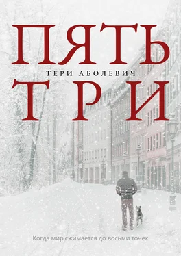 Тери Аболевич Пять/три обложка книги