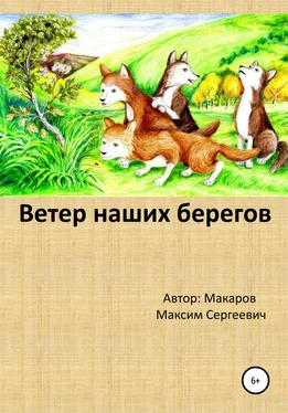 Максим Макаров Ветер наших берегов обложка книги