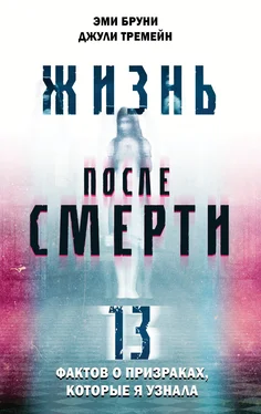 Эми Бруни Жизнь после смерти. 13 фактов о призраках, которые я узнала обложка книги