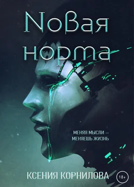 Ксения Корнилова Новая Норма обложка книги