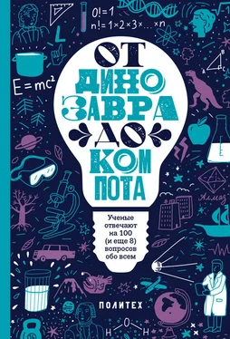 Татьяна Зарубина От динозавра до компота. Ученые отвечают на 100 (и еще 8) вопросов обо всем обложка книги