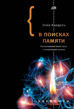 Эрик Кандель В поисках памяти: Возникновение новой науки о человеческой психике обложка книги