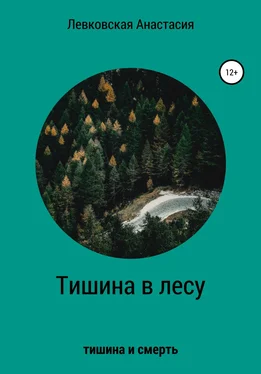 Анастасия Левковская Тишина в лесу обложка книги