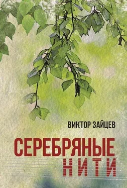 Виктор Зайцев Серебряные нити обложка книги