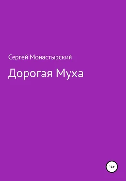 Сергей Монастырский Дорогая муха обложка книги