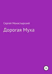Сергей Монастырский - Дорогая муха