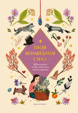 Ариэль Косби Твоя волшебная сила. 40 ритуалов, чтобы наполнить жизнь чудесами обложка книги