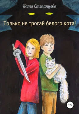 Катя Степанцева Только не трогай белого кота! обложка книги