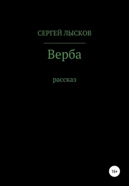 Сергей Лысков Верба обложка книги