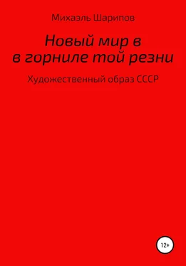 Михаэль Шарипов Новый мир в горниле той резни (расширенное издание) обложка книги