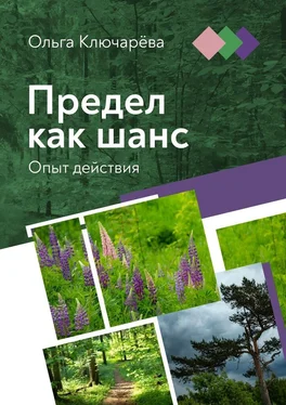 Ольга Ключарёва Предел как шанс. Опыт действия обложка книги