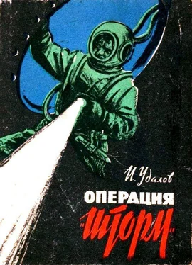 Иван Удалов Операция «Шторм» обложка книги