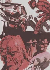 Ирвин Шоу - Скала закона