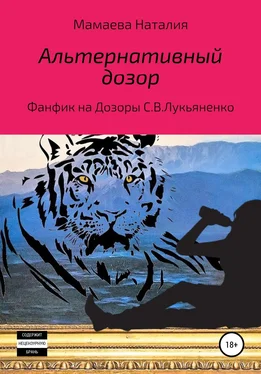 Наталия Мамаева Альтернативный дозор обложка книги