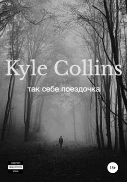 Kyle Collins Так себе поездочка обложка книги