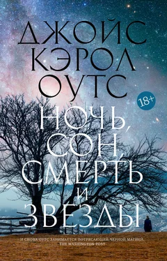 Джойс Оутс Ночь, сон, смерть и звезды обложка книги