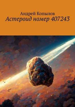 Андрей Копылов Астероид номер 407243 обложка книги