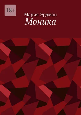 Мария Эрдман Моника обложка книги