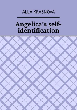 Alla Krasnova Angelica’s self-identification обложка книги