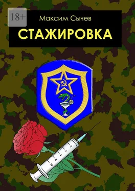 Максим Сычев Стажировка обложка книги