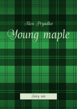 Alex Pryadko Young maple. Fairy tale обложка книги