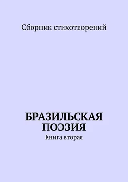 Ана Шадрина-Перейра Бразильская поэзия. Книга вторая обложка книги