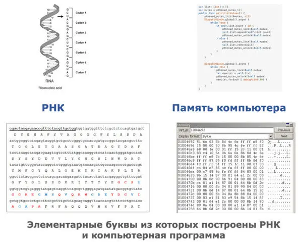 Хотя алфавиты с которыми работают компьютеры меняются часто неизменной - фото 16
