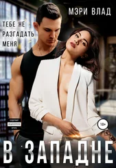 Мэри Влад - В западне