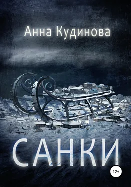 Анна Кудинова Санки обложка книги